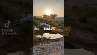 Cover art for gay furries