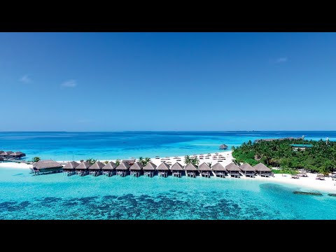 Videos del Constance Moofushi 5★ en Himandhoo, MaldivasVer MásVerPrecios18CerrarConsulta por Whatsapp 🇦🇷BookingTripadvisorExpediaAgodaTravelocityOrbitzPricelineTripSkyscannerDespegarKayakHotelesDestiniaTrivagoTurismocityLastminuteTuiWotif