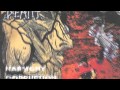Napalm Death -- The Chains That Bind Us