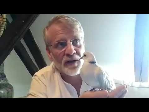 Kniha o  tichu Josefa Formánka