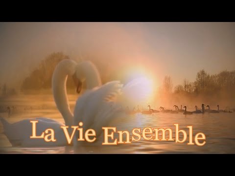 Acapella Express  La Vie Ensemble