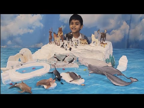 Arctic and Antarctic Tundra Region ❄️ Polar Diorama with Polar Animal Figurines for Kids Learning