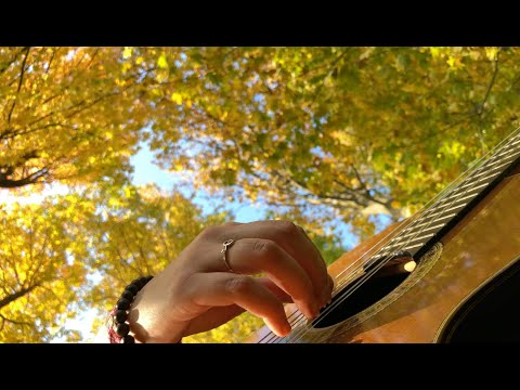 Bahar Ossareh plays Squares Suspended by Andrew York