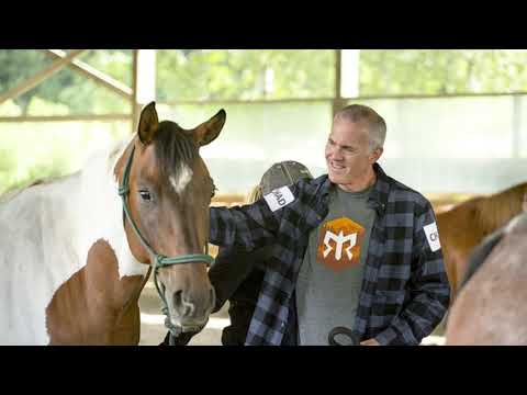 Roam Consulting LLC video/presentation/materials