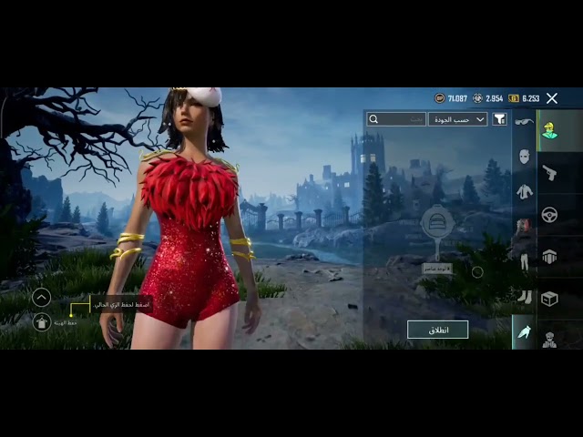 حساب ببجي  عالمية