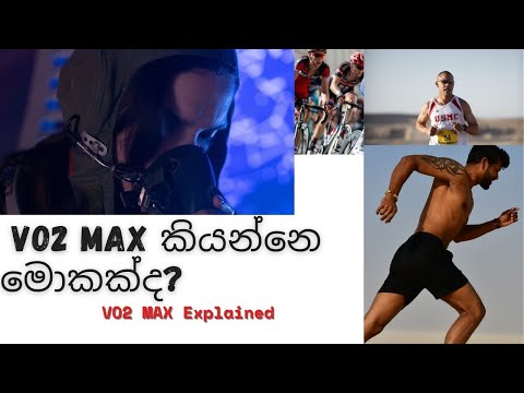 What Is VO2 MAX ?  | VO₂ Max යනු කුමක්ද?