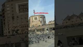 Download lagu പാറി നടക്കും പ്രാവുകളെ /paari nadakkum pravukale/ #song #music #justtrywithdream #islamicshorts mp3