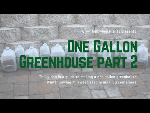 One Gallon Greenhouse part 2