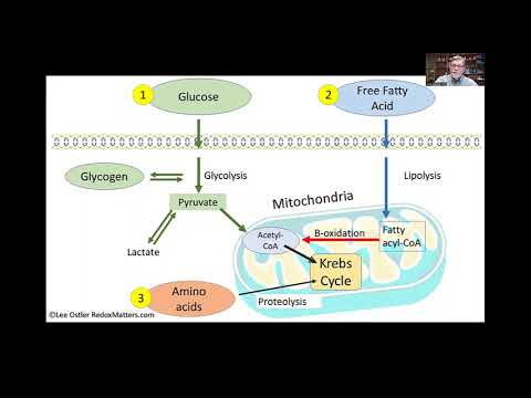 Deep Dive into Redox Science and Technology - Dr. Dick Walker_Aug 6, 2022
