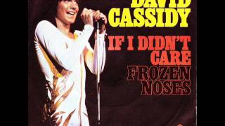 David Cassidy - If i Didn´t Care