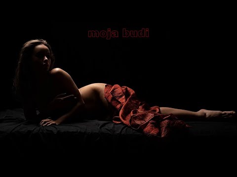 Počinitelji - Moja budi
