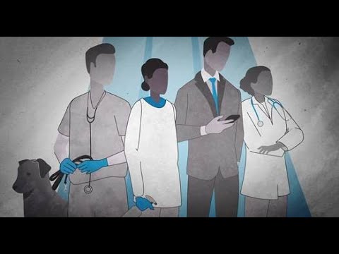 Defending Our Future: Protecting Humans & Animals from Antibiotic Resistance