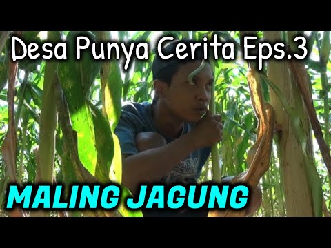 desa-punya-cerita-eps-3-maling-jagung