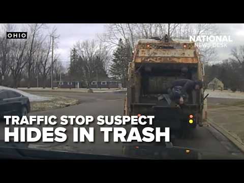 “Oscar the Grouch” Found Hiding in Trash Can After Traffic Stop | Dash Cam Footage