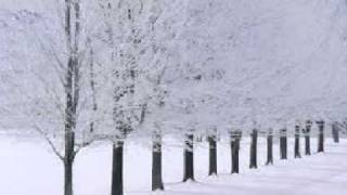 SIX LA NEVE - Sangue Chiaro