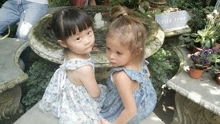 Paula Taylor - Little Tree Garden pt.1