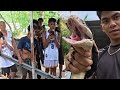 ANG NAKAKAMATAY NA DAKMA NI COBRA PRINCE SA NAPAKA TAPANG NA KING COBRA