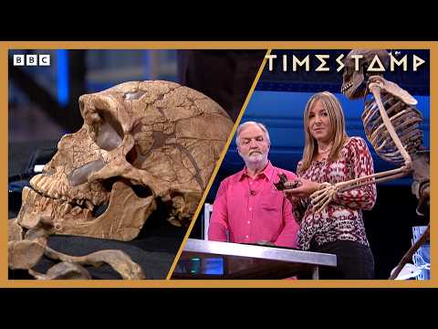 Piecing Together Our Prehistoric History | Compilation | Bbc Timestamp