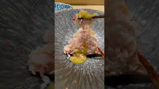 [食記] 桃園中壢 樂魚料亭 N訪 還是覺得讚