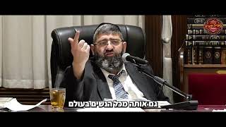 הרב אייל עמרמי - זו הגדולה של אבותינו (הרב אייל עמרמי) - התמונה מוצגת ישירות מתוך אתר האינטרנט יוטיוב. זכויות היוצרים בתמונה שייכות ליוצרה. קישור קרדיט למקור התוכן נמצא בתוך דף הסרטון