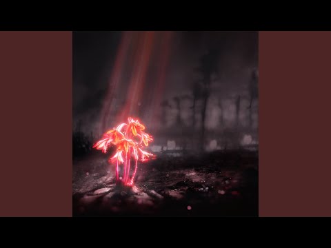 Leap Into The Lightning - Enter Shikari