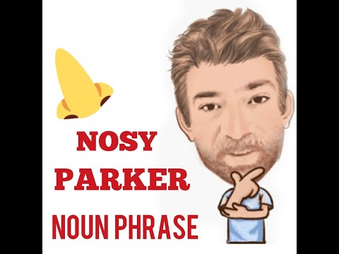 English Tutor Nick P Noun Phrase (254) Nosy Parker - Origin