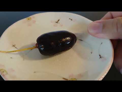 download lagu mp3 mp4 Where To Buy Fresh Dates In Singapore, download lagu Where To Buy Fresh Dates In Singapore gratis, unduh video klip Where To Buy Fresh Dates In Singapore