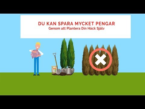 Plantera din Häck Själv | Plantinavia Sverige