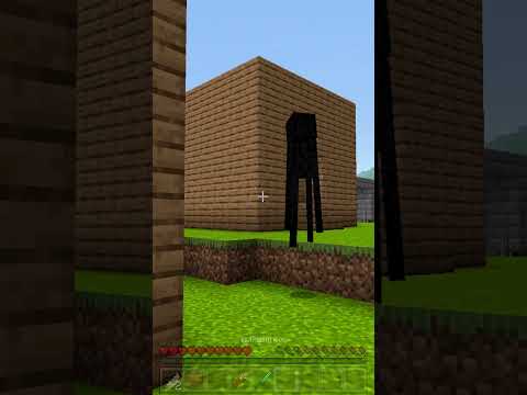 Minecraft: Feeling Sad For Enderman - Past Lives #shorts