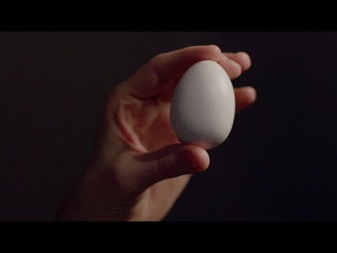 This is Your Brain on the Drug War