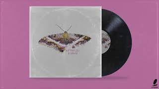 Free Isaiah Rashad | Kendrick Lamar Type Beat &quot;Butterflies&quot; (Prod. B.Young)
