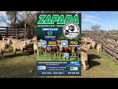 Remata Ernesto Esteves y Cia - Local Zapará Tacuarembó - 17 de Setiembre de 2025