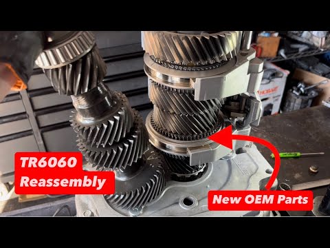 Tremec TR6060 Transmission Camaro SS Repair & Reassembly