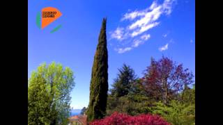 The Rain - Calvin Harris