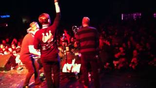 Mustard plug-Skank by Numbers