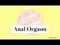 The Secret Of The Anal Orgasm The Back Door To Heaven
