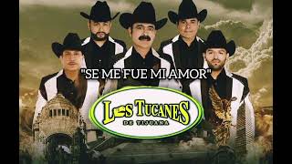 Se Me Fue Mi Amor - Los Tucanes De Tijuana (Letra)