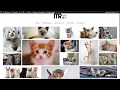 Use The Photo Module To Create A Responsive Grid