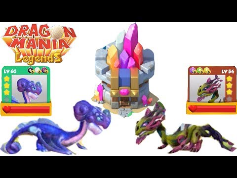 Enchant Dragon battle - Stardust dragon Vs Briar dragon - dragon mania legends
