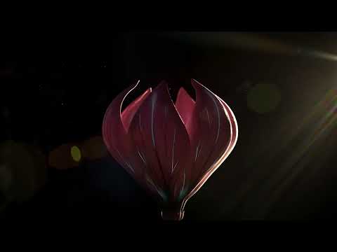 Tomorrowland Belgium 2024 l Official Trailer