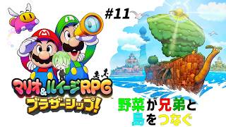 #11 野菜が兄弟と島をつなぐ【マリオ&ルイージRPG ブラザーシップ!】