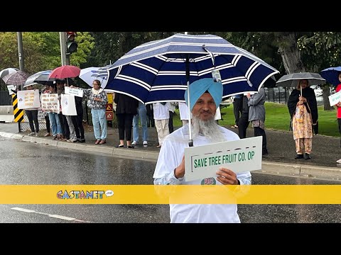 Video: BC Tree Fruits protest - Castanet.net