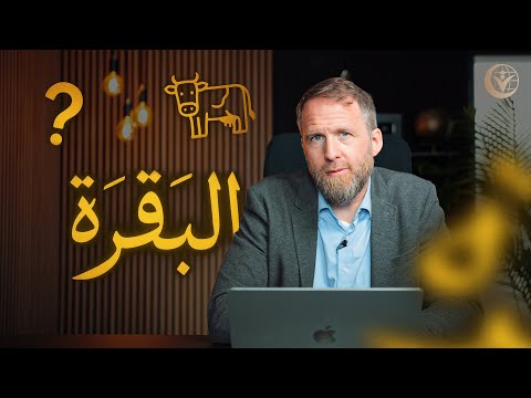 Why is the longest sura in the Quran called “The Cow”?