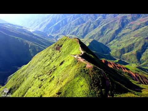 Toàn Cảnh Sống Lưng Khủng Long