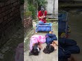 Ghost ️ Bhoot Bhoot Kritikachannel Shorts Ghost Family Funny Mahadev