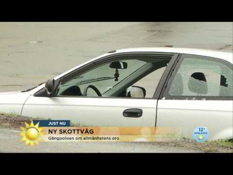 Ny skottlossning igår kväll – därför ser vi många skjutningar nu - Nyhetsmorgon (TV4)