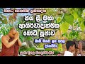 Ven Deegala Piyadassi Thero Jayasri Maha Bodhi Vandana ජය ශ්‍රී මහා ආශිර