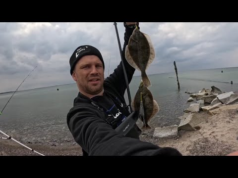Flatfish Eldorado Rügen | We show you a hotspot