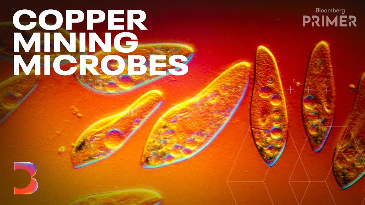 Can Microbes Solve the Copper Problem? | Bloomberg Primer