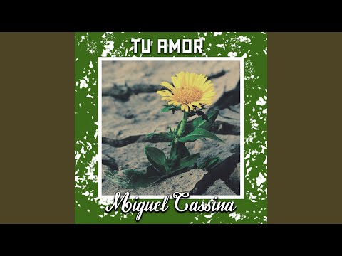 Corazon De Piedra - Miguel Cassina